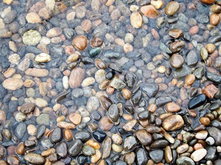 pebbles on the beach