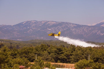 Air tanker extinguishing a forest fire