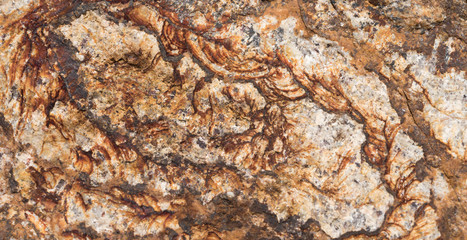 Scalloped Rock Texture