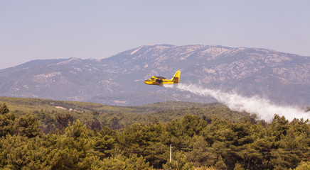 Air tanker extinguishing a wildfire