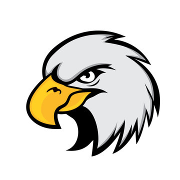 elegant eagle bird head cartoon
