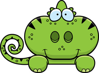 Cartoon Chameleon Peeking
