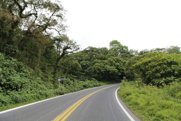 Fototapeta premium Zielona autostrada
