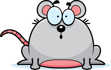 Surprised Little Mouse