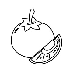 slice tomato food healthy image outline vector illustration eps 10
