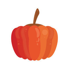 pumpkin food healthy image vector illustration eps 10