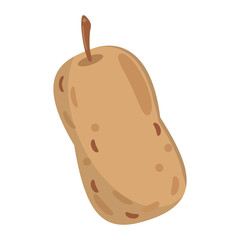 potato food healthy image vector illustration eps 10