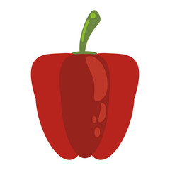red pepper food healthy image vector illustration eps 10