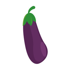 eggplant food healthy image vector illustration eps 10