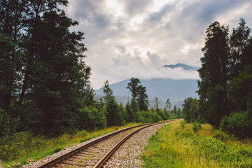 Fototapeta premium rails, railroad, mountains, Slovakia,, rails stretching to the horizon