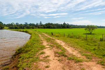 Fototapeta na wymiar Pond and a rice field near Coronel Bogado town, Paraguay