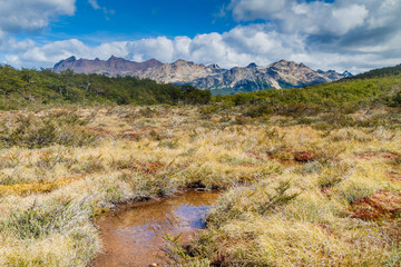 Nature in Tierra del Fuego, Argentina