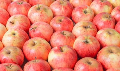 Rows of red apples on a wooden surface. Top View