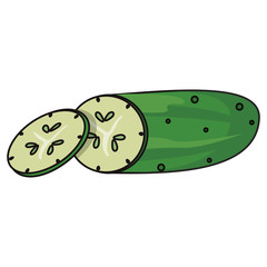 cucumber vegetable food fresh vector illustration eps 10