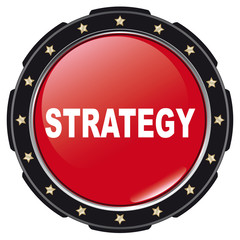 strategy icon