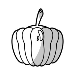 pumpkin food nutrition - shadow vector illustration eps 10