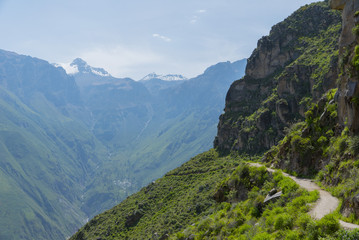 Colca Canyon Peru