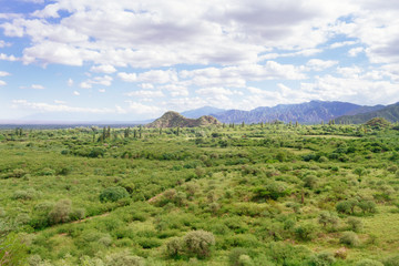 Lush valley with ruins and trails of the Inca Shinkal in Catamarca, Argentina