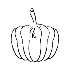 pumkin food diet healthy vector illsutration eps 10