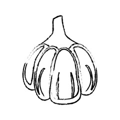 garlic food diet healthy vector illsutration eps 10