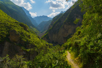 Fototapeta na wymiar Colca Canyon Peru