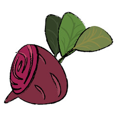 beet food diet healthy vector illsutration eps 10