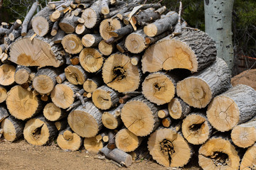 A Big Pile of Logs