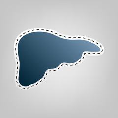 Human anatomy. Liver sign. Vector. Blue icon with outline for cutting out at gray background.