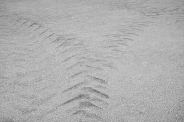 Dirty tyre tracks from the special equipment on the asphalt