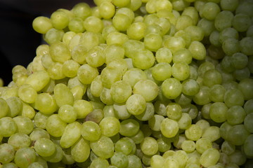 Red wine grapes background/ dark grapes, blue grapes , Red Grape , Vitis vinifera L. , VITACEAE , Cardinal Grape , Emperor Grape