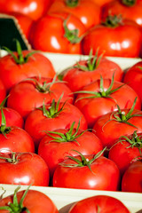 fresh tomatoes. tomatoes background. Group of tomatoes