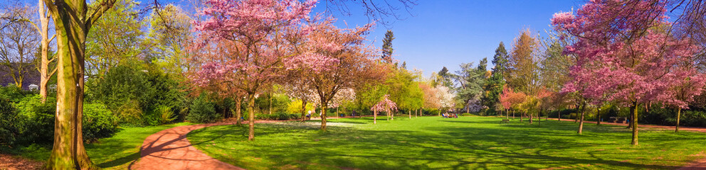 Naklejka premium Spring Park landscape. Panoramic view of a park