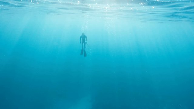 Freediver Rising to the Surface