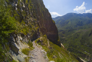 Colca Canyon