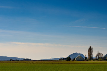 Farm and field with blue sky