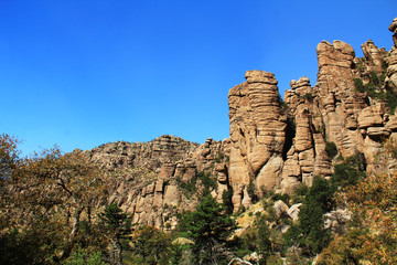 Fototapeta premium Near Organ Pipe rock hoodoos formation in Bonita Canyon, Chiricahua National Monument near Wilcox, in southern Arizona, USA.