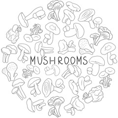 Mushrooms hand drawn doodle vector illustration.