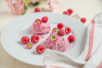 Himbeer Eiscreme 