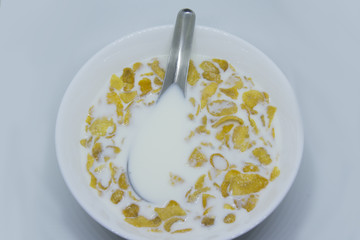 Yellow honey-coat conflakes in the bowl with milk.