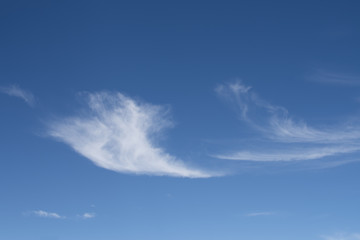 青空に巻雲