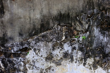 Old Wall Texture Background.