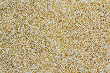 Yellow millet groats background