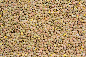 Lentil food texture.