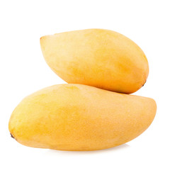 yellow mango fruit isolated on white background.