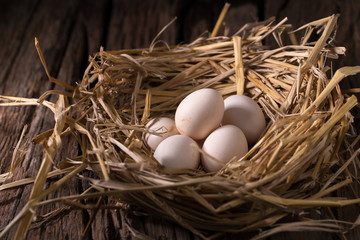 Chicken eggs in the straw in the morning light