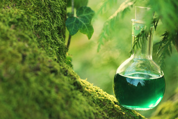 herbal potion On a mossy tree .Spell potion .  Herbal elixir. Magic Potion. Homeopathic medicine....