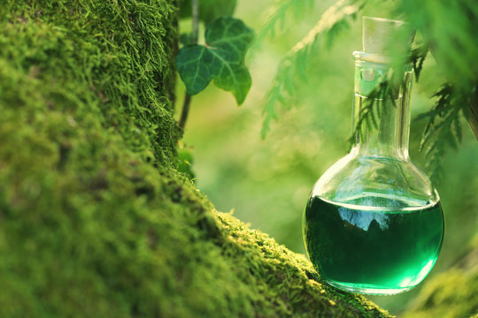 herbal potion On a mossy tree .Spell potion .  Herbal elixir. Magic Potion. Homeopathic medicine. Organic Cosmetics Concept	