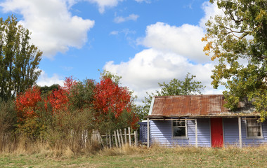 Australia in autumn with native trees