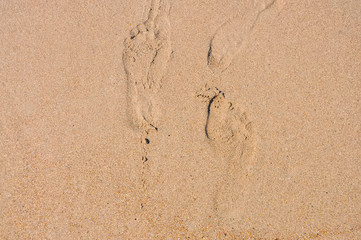Fototapeta na wymiar Footprint on a golden sand
