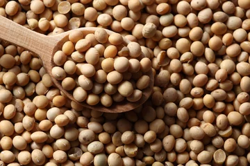 Rolgordijnen soy bean © Serhiy Butynets